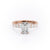 EMERALD CUT MOISSANITE STONE SET SHOULDERS WITH HIDDEN HALO