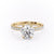 Round Cut Moissanite Shoulder Set Ring With Block Halo